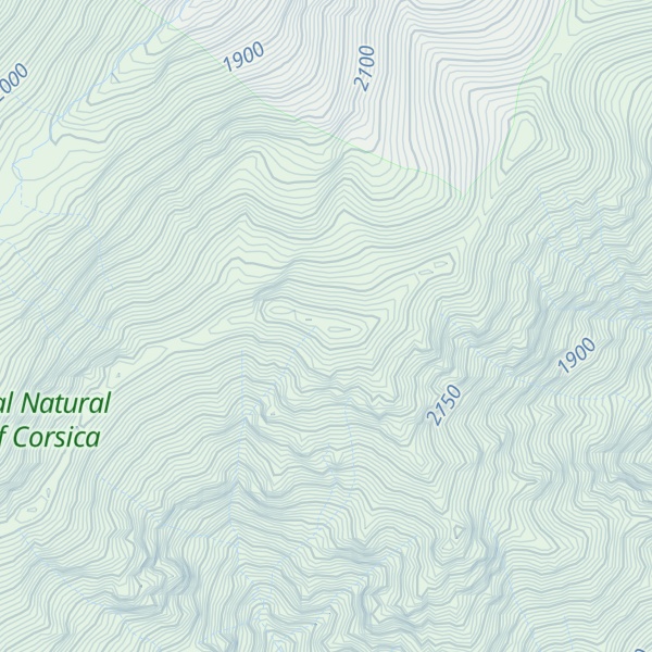Map of Punta Felicina
