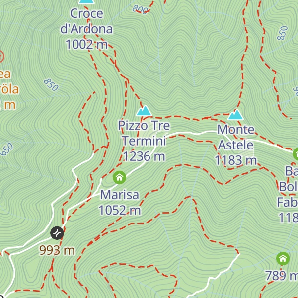 Map of Primula