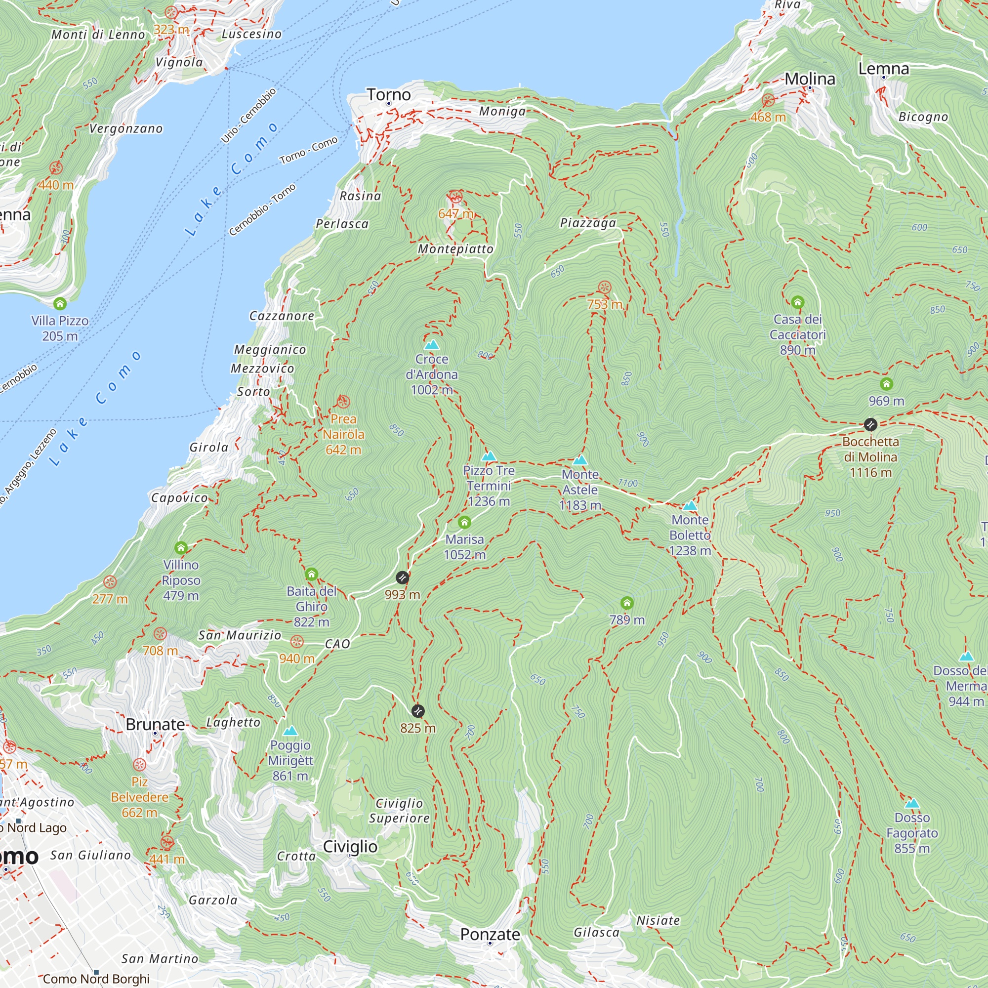 Primula map