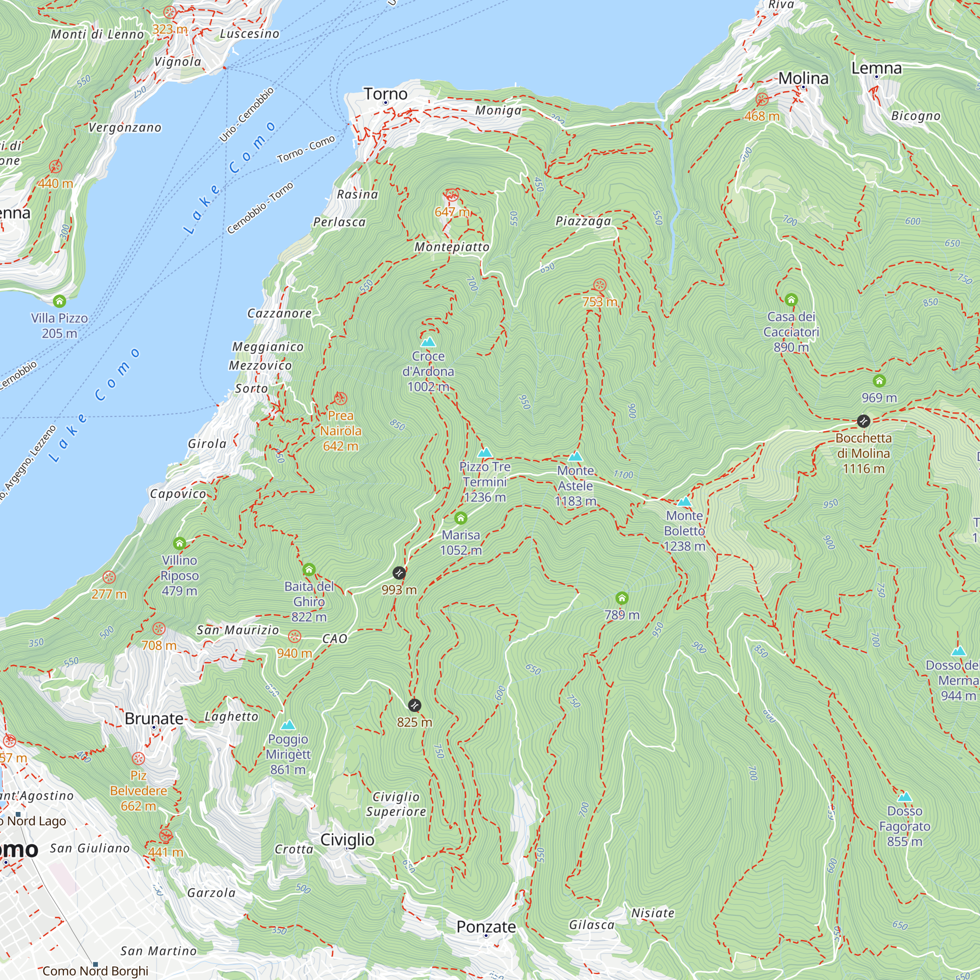 Primula map