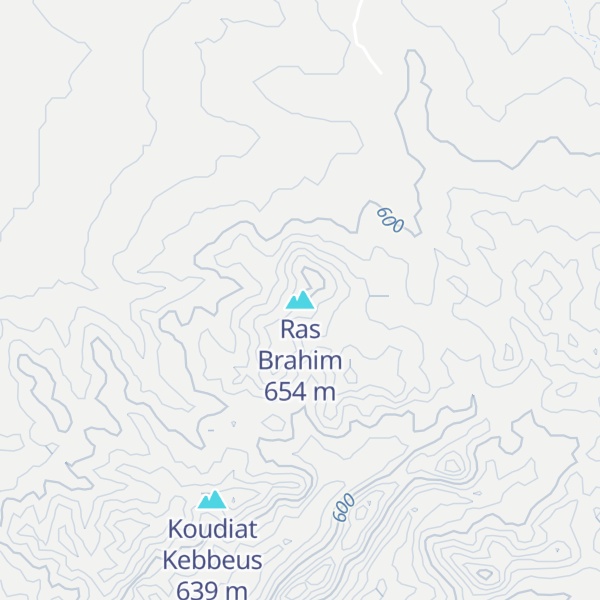 Map of Ras Brahim