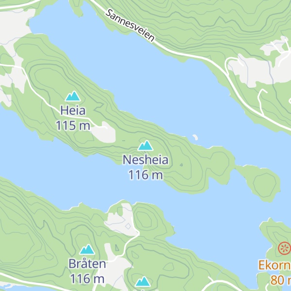 Map of Nesheia