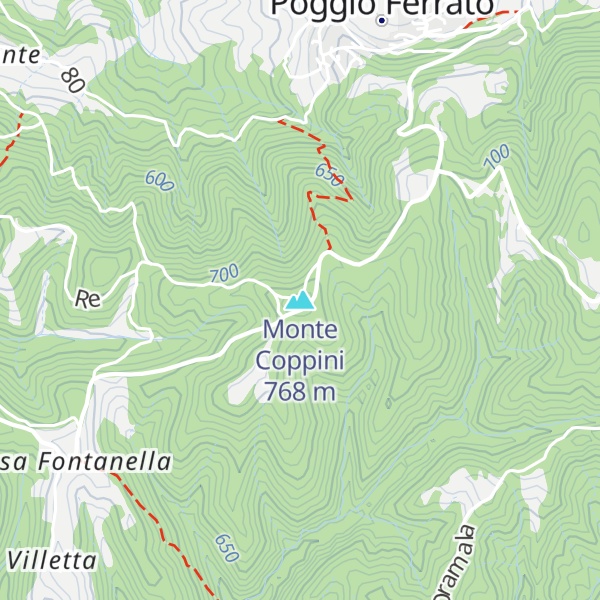 Map of Monte Coppini