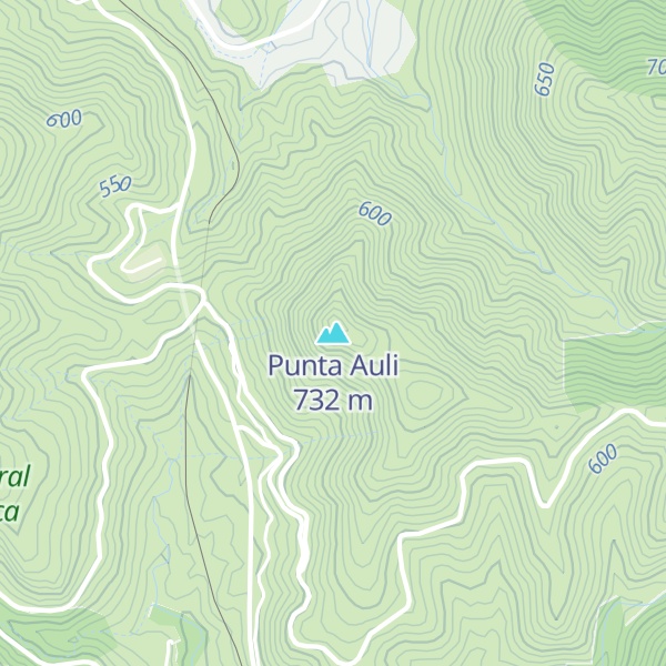 Map of Punta Auli