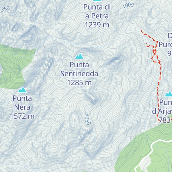 Map of Punta Arca