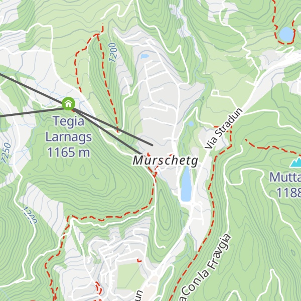 Map of Snake Bar