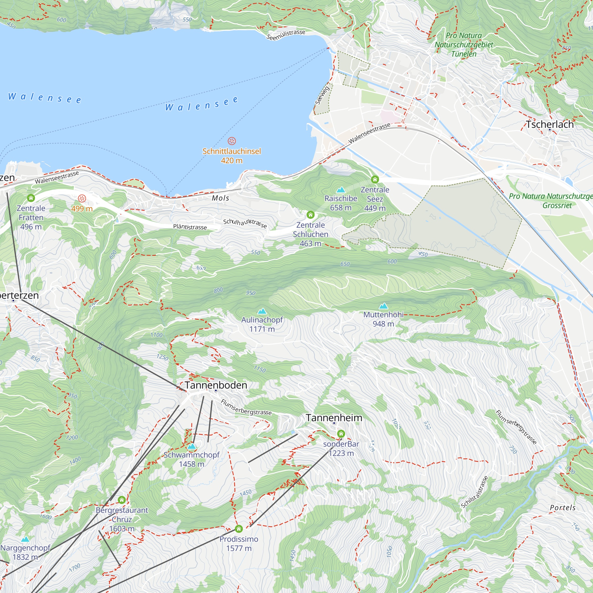 Ferienhaus Fäsch map