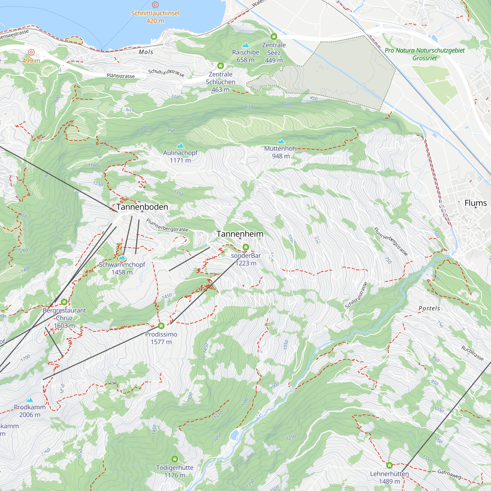 Aparthotel Edy Bruggmann map