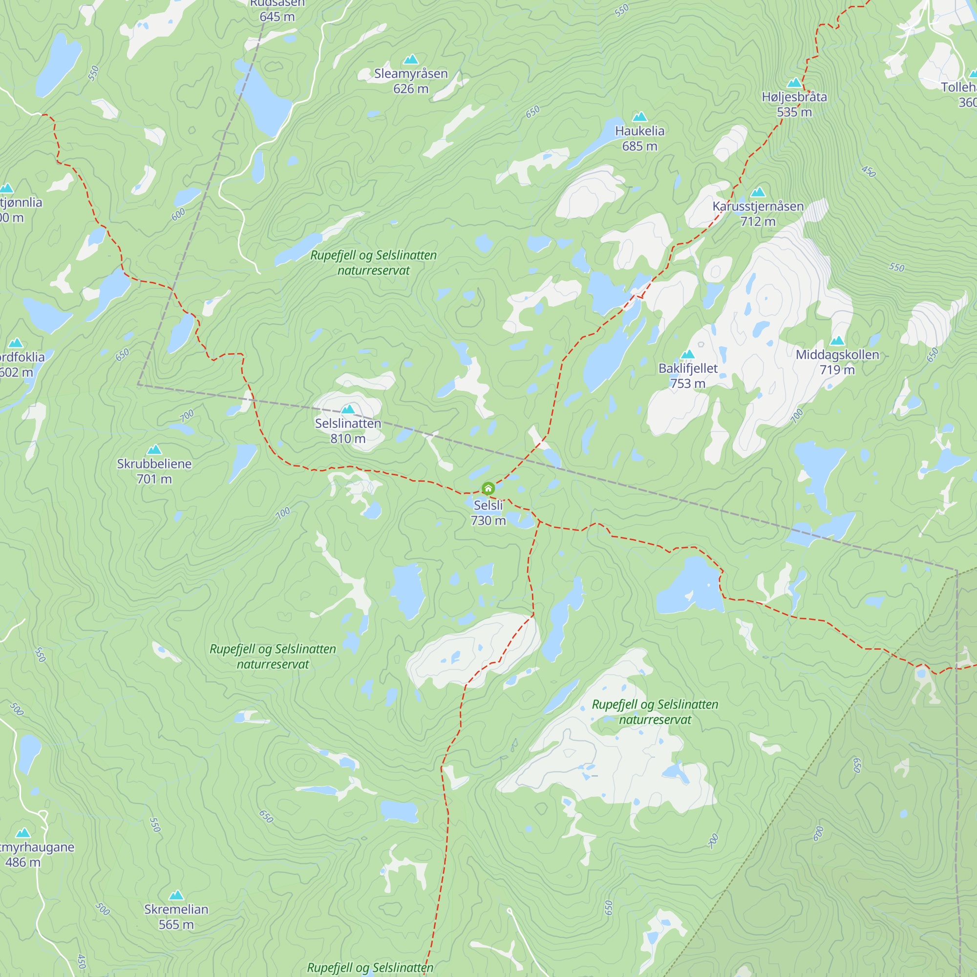 Selsli map