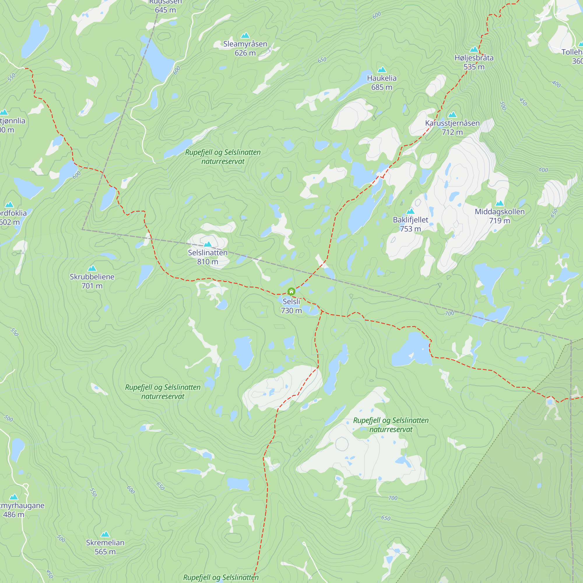 Selsli map