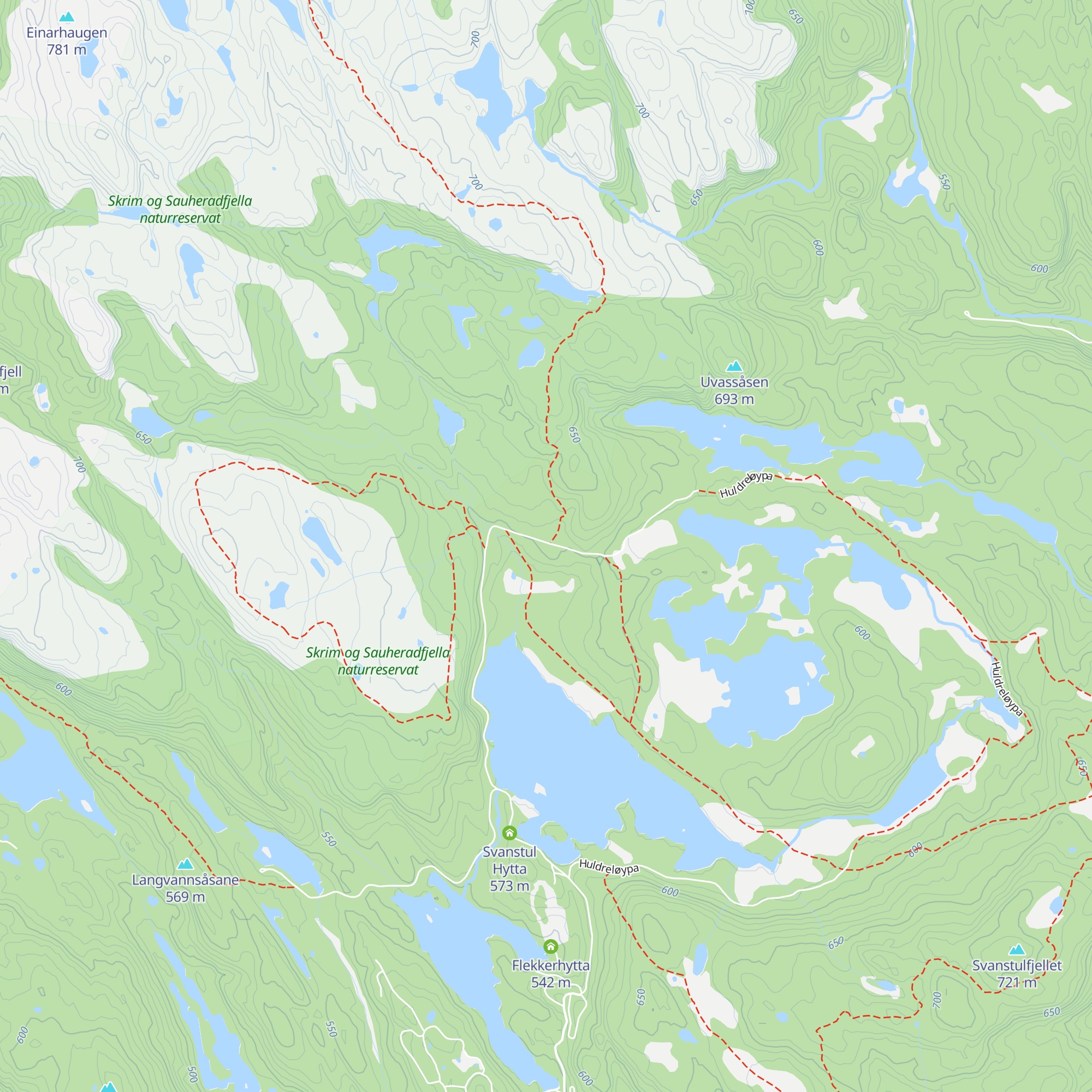 Fugleleiken map