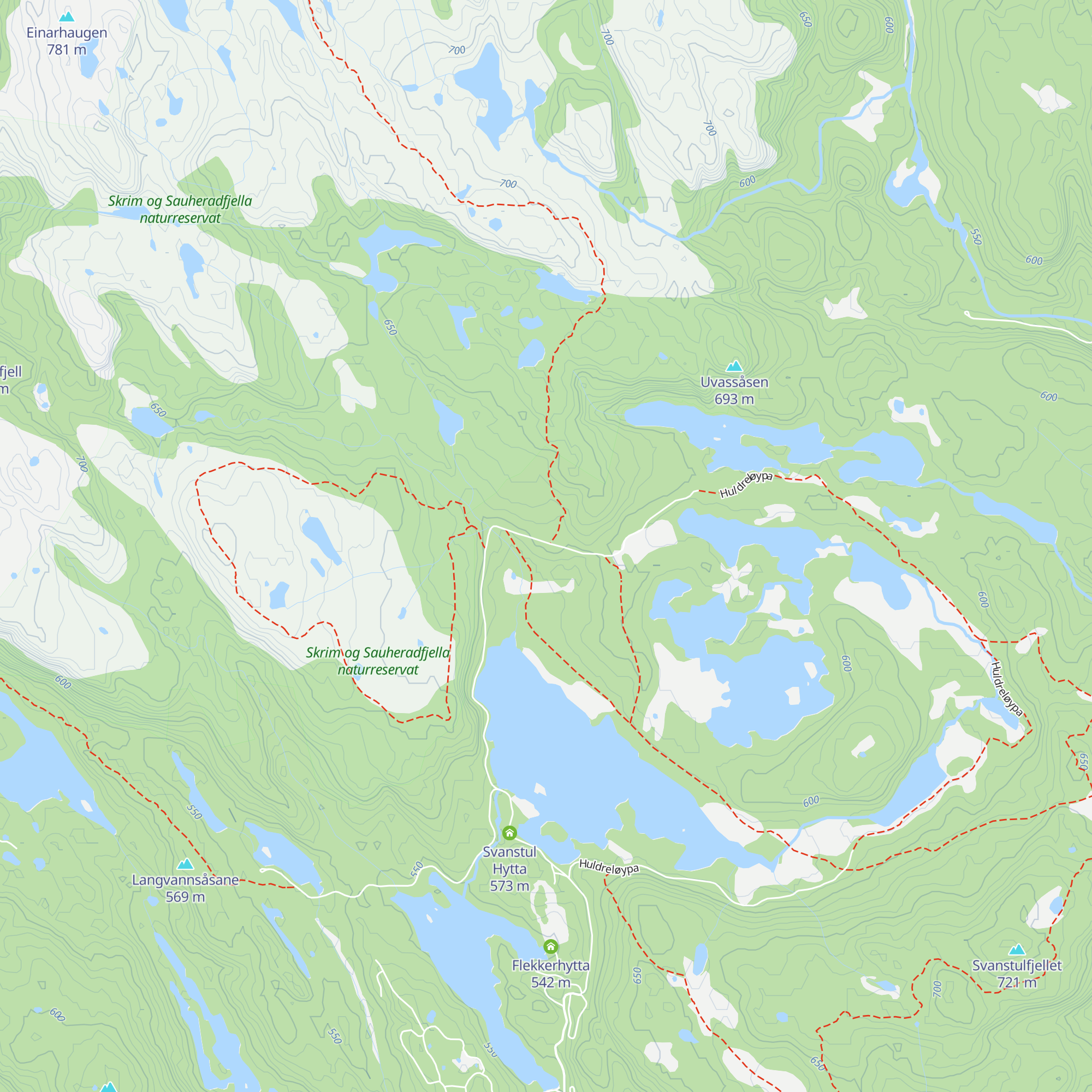 Fugleleiken map