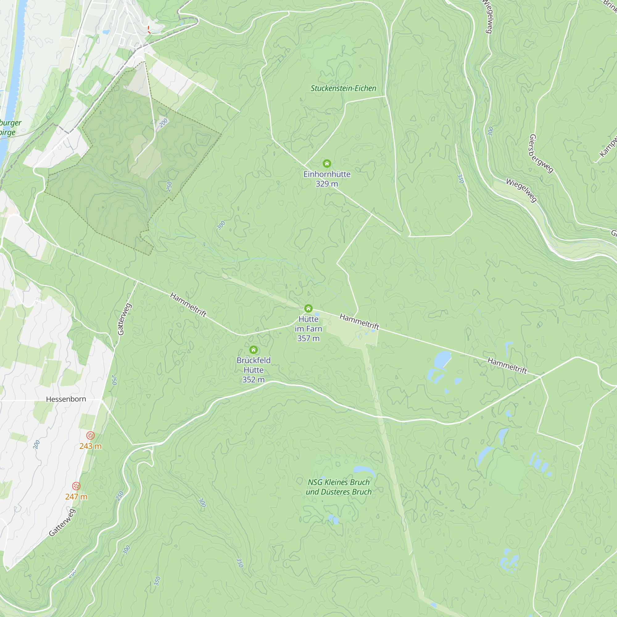 Hütte im Farn map