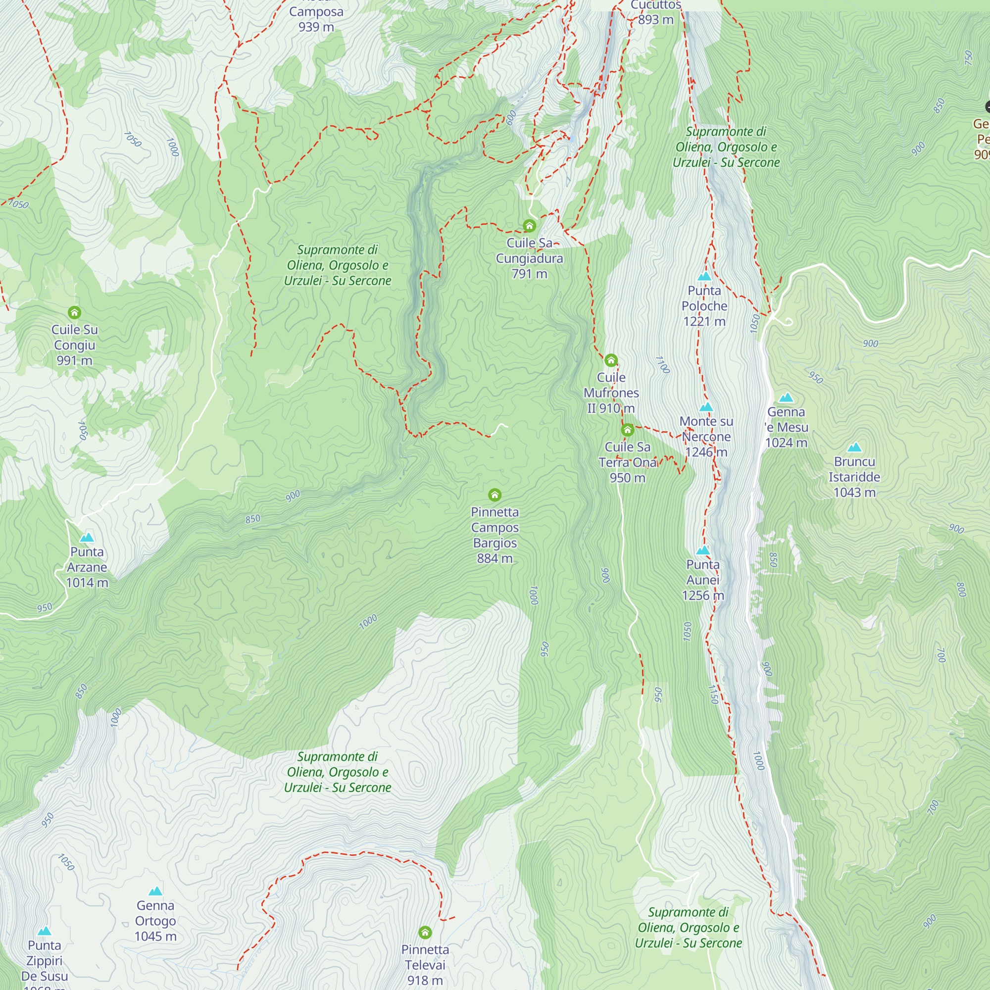 Pinnetta Campos Bargios map