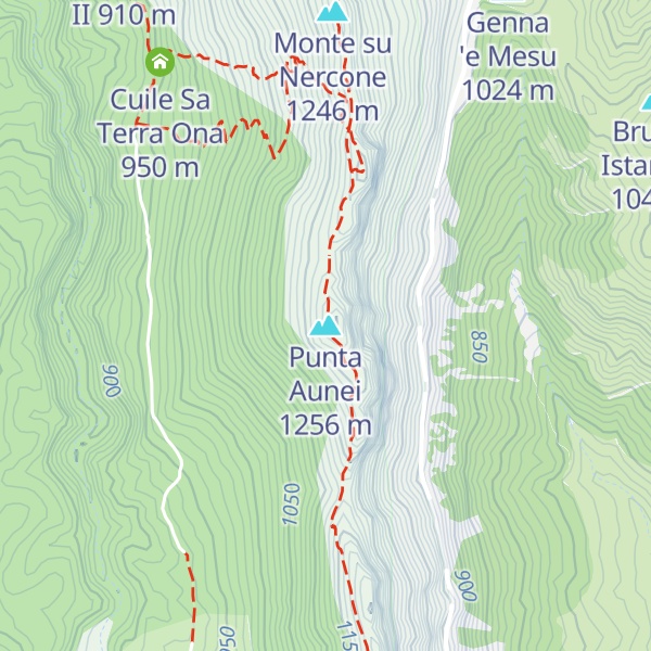 Map of Punta Aunei