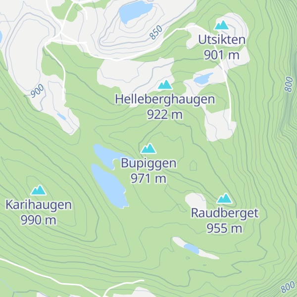 Map of Bupiggen
