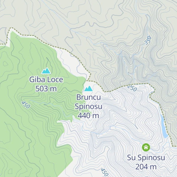 Map of Bruncu Spinosu