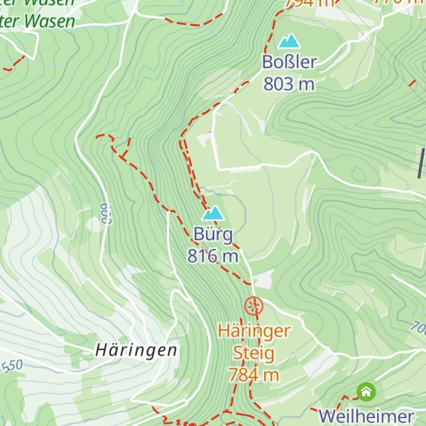 Map of Bürg