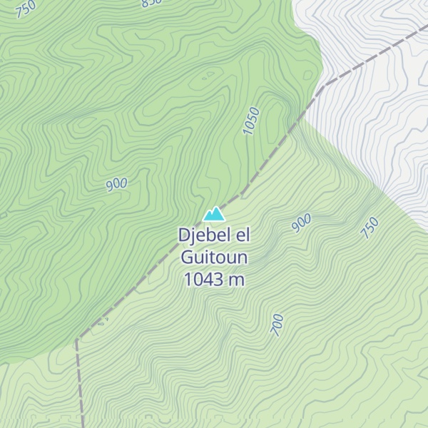 Map of Djebel el Guitoun