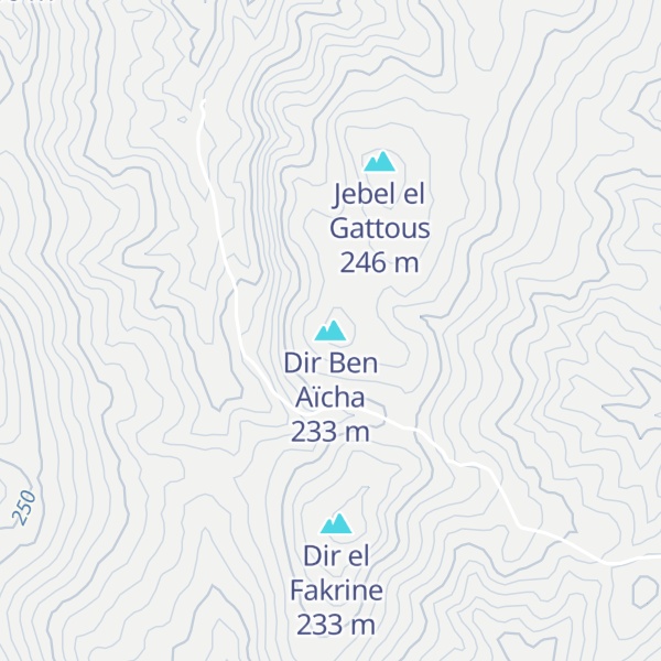 Map of Dir Ben Aïcha