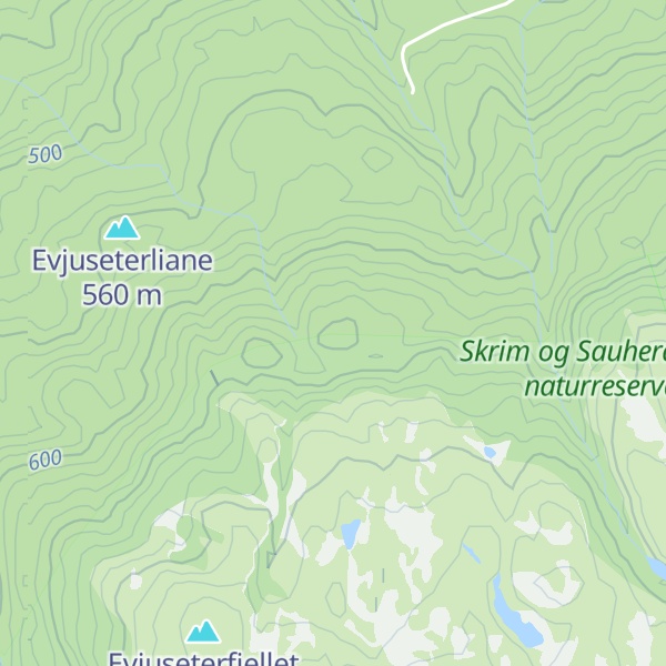 Map of Brune Skarvene
