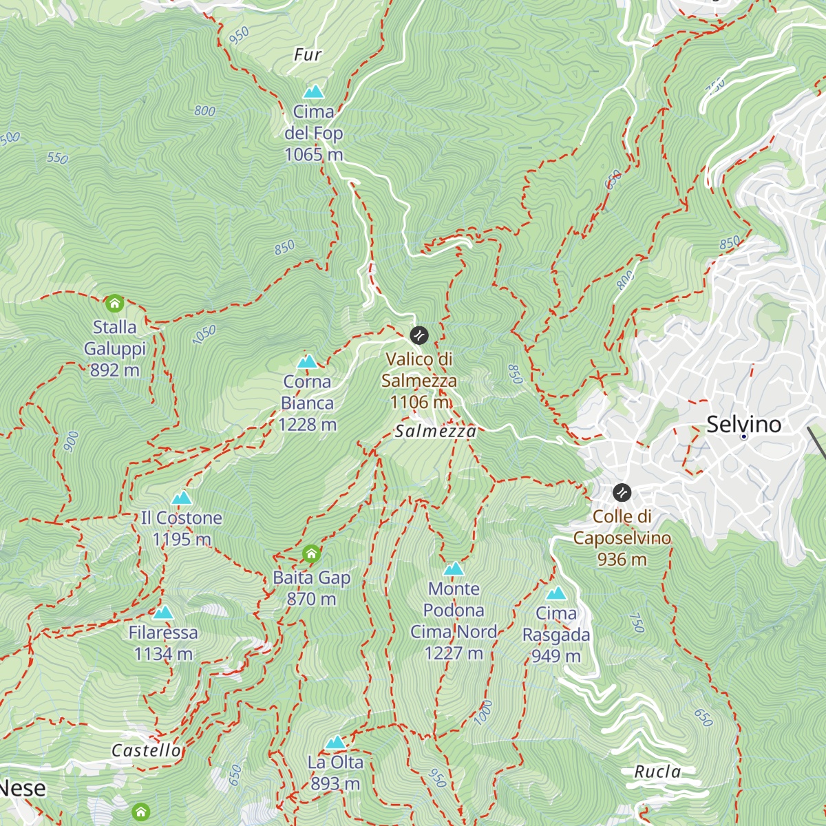 Merelli map