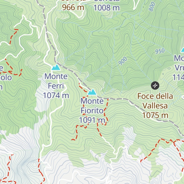 Map of Monte Fiorito