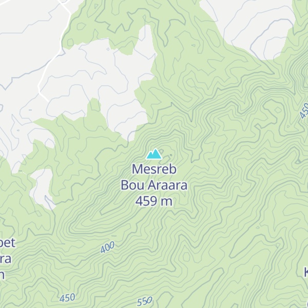 Map of Mesreb Bou Araara