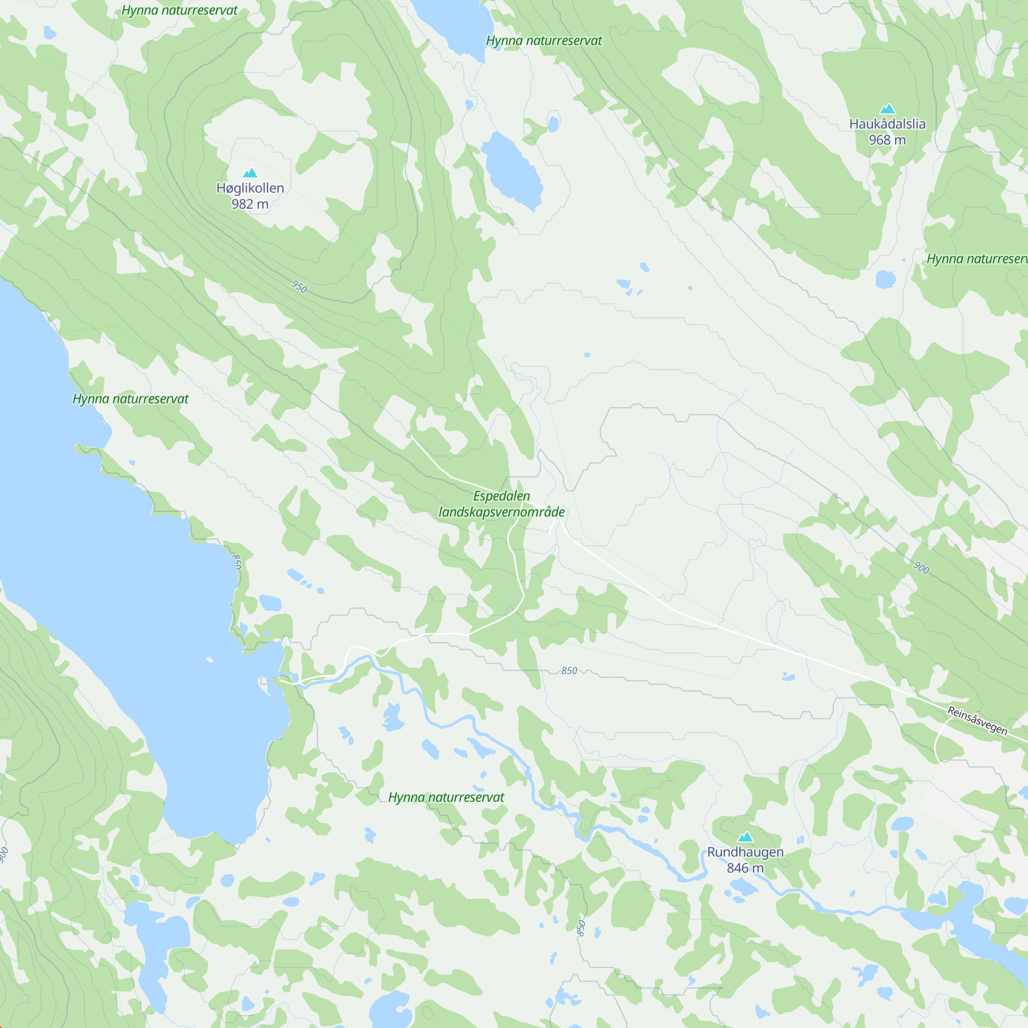 Reinsåshytta map