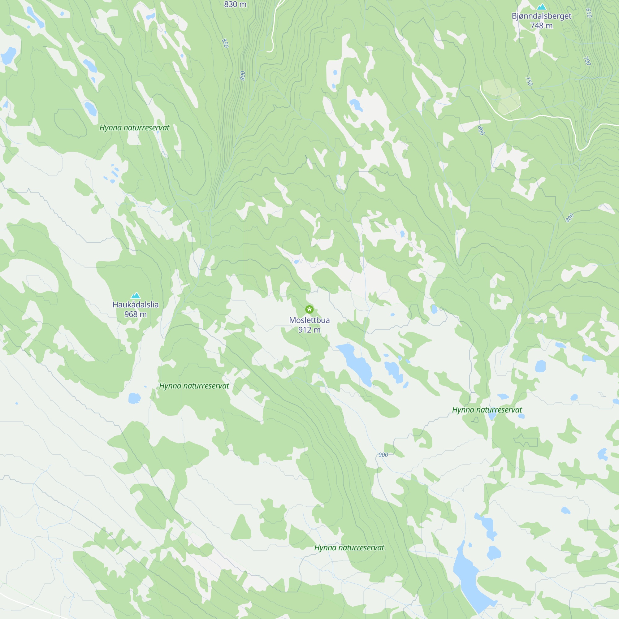 Moslettbua map