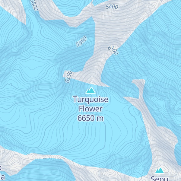 Map of Turquoise Flower