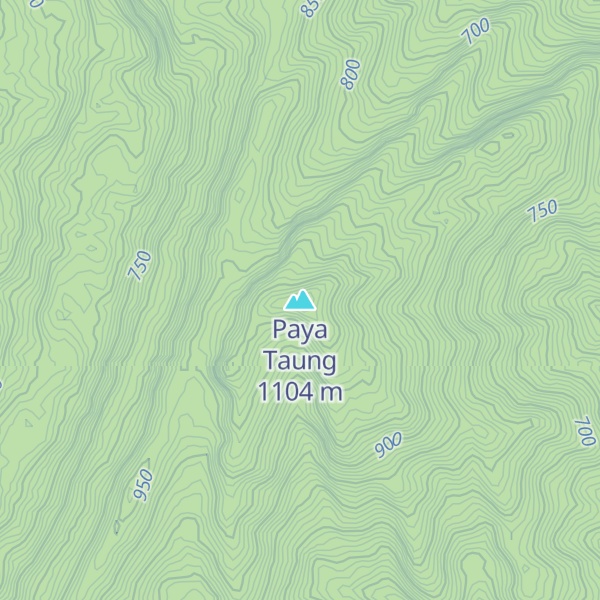 Map of Paya Taung