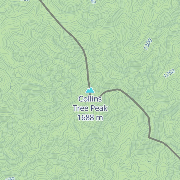 Map of Collins Tree Peak