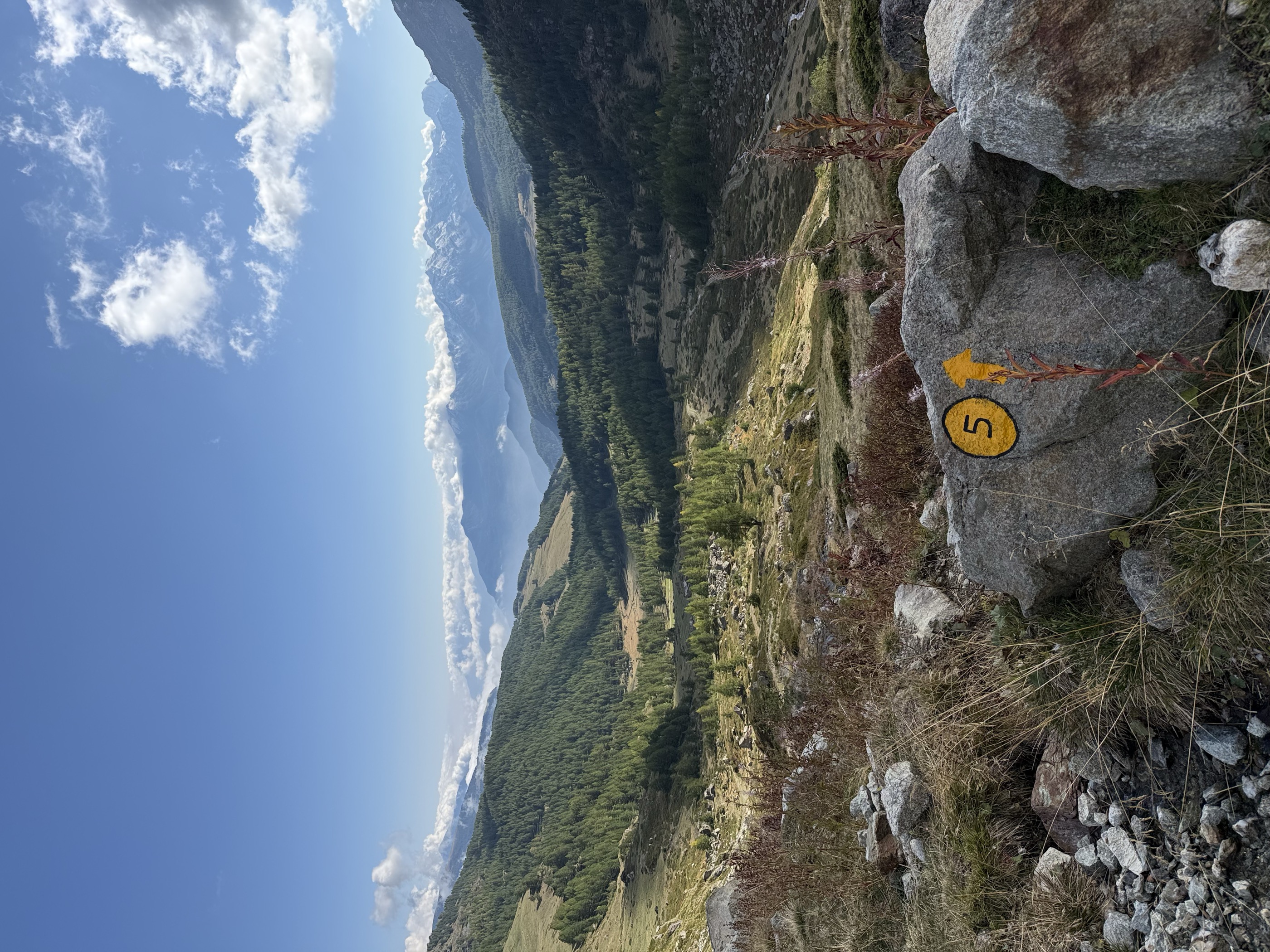 Lärchenhänge auf der Tour zur Pointe du Tsan im Aostatal
