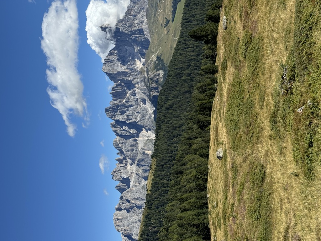 Piermichele Borraccia