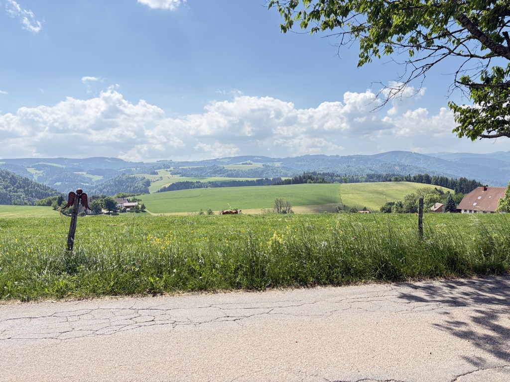 Manfred Billharz