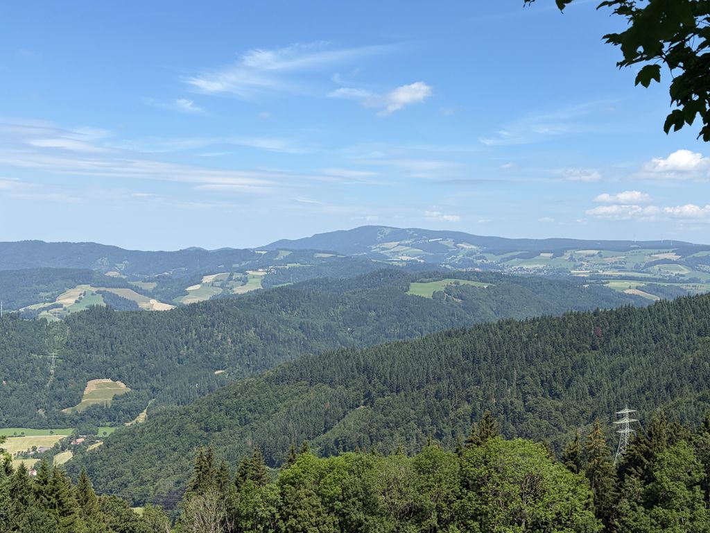 Manfred Billharz