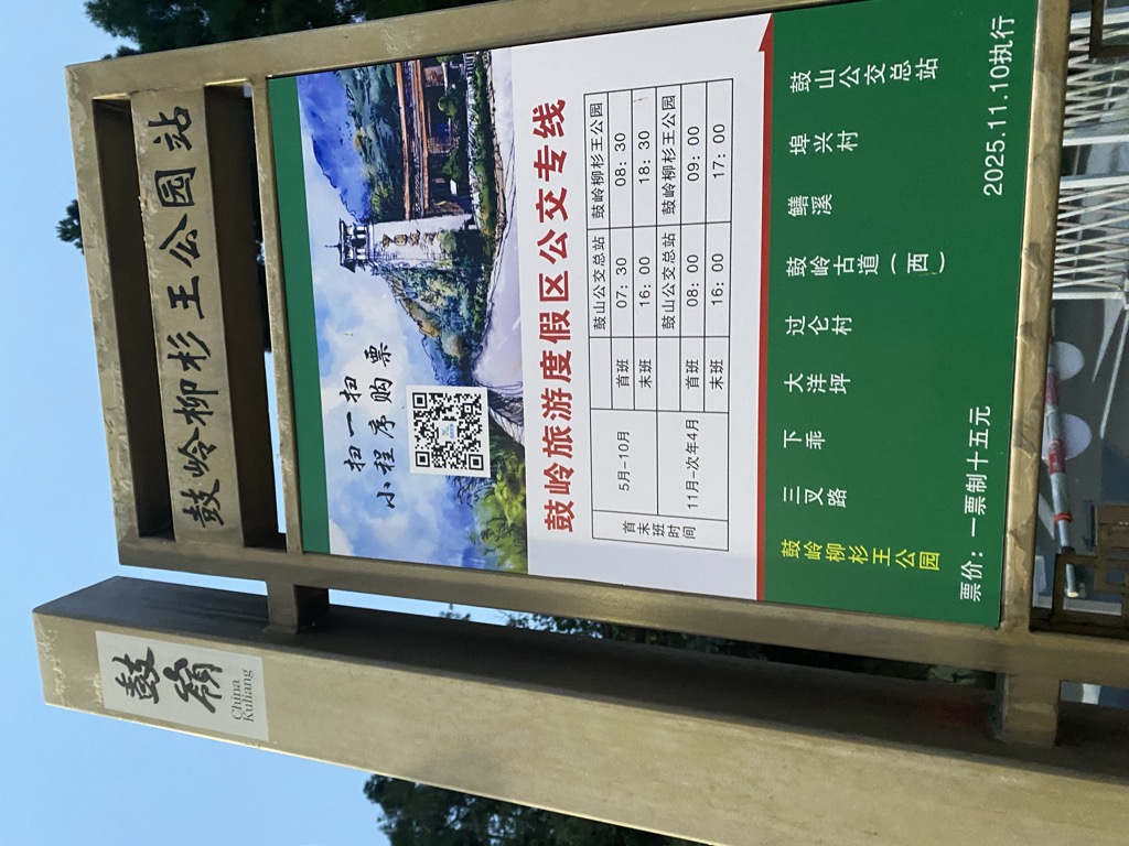 迪迦