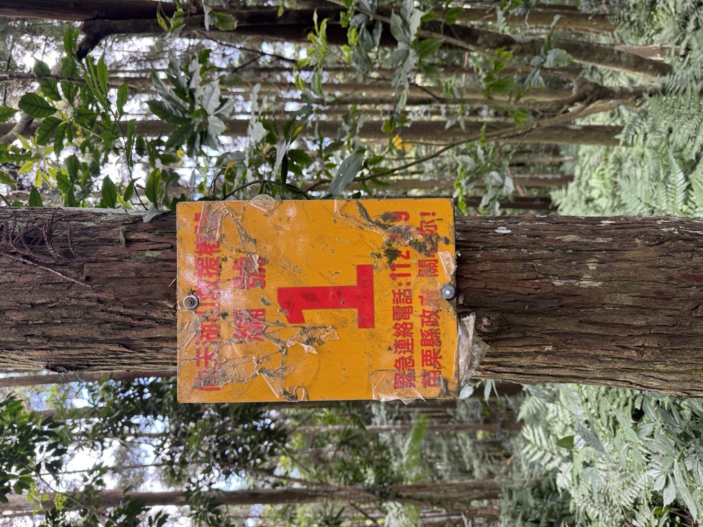 張良池