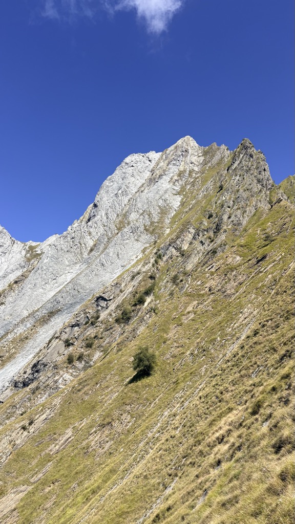 GIONATA LANDI