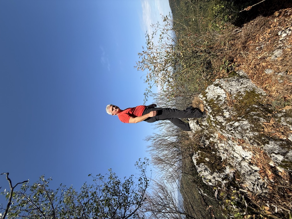 Davor Vic