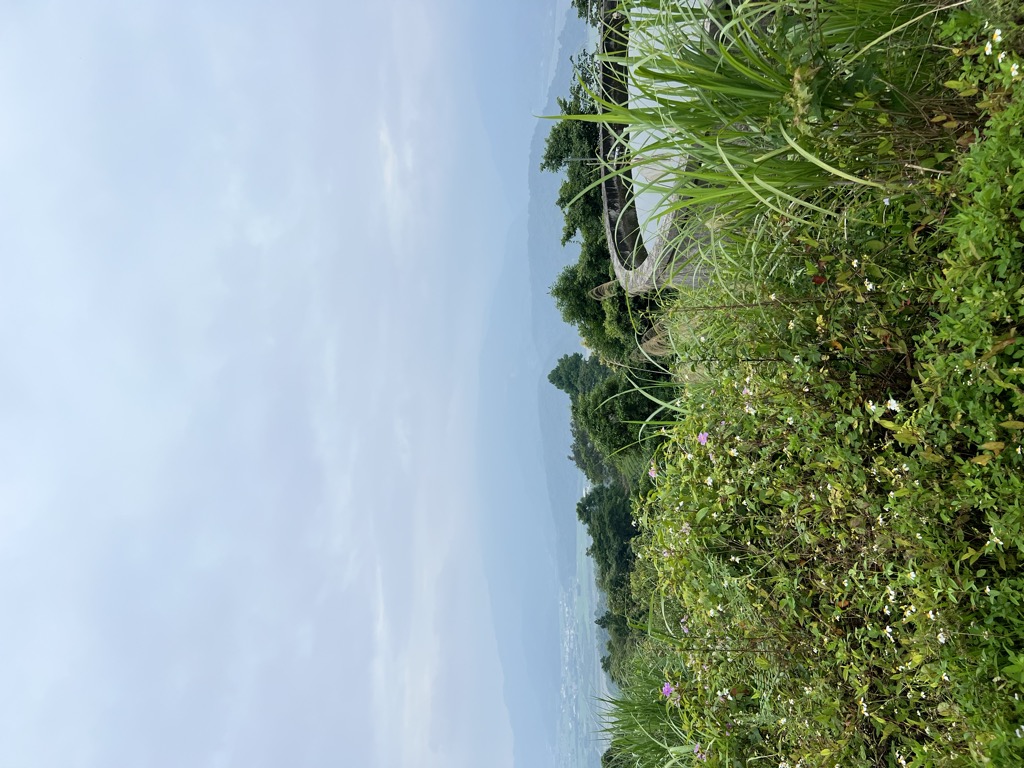 Jc Lai