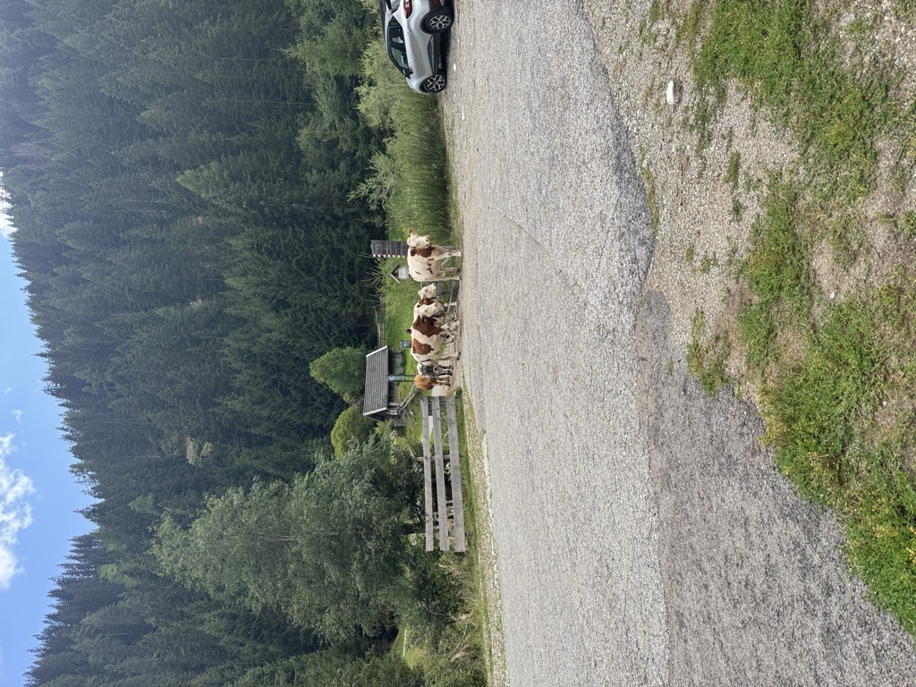Possi Gelatieri