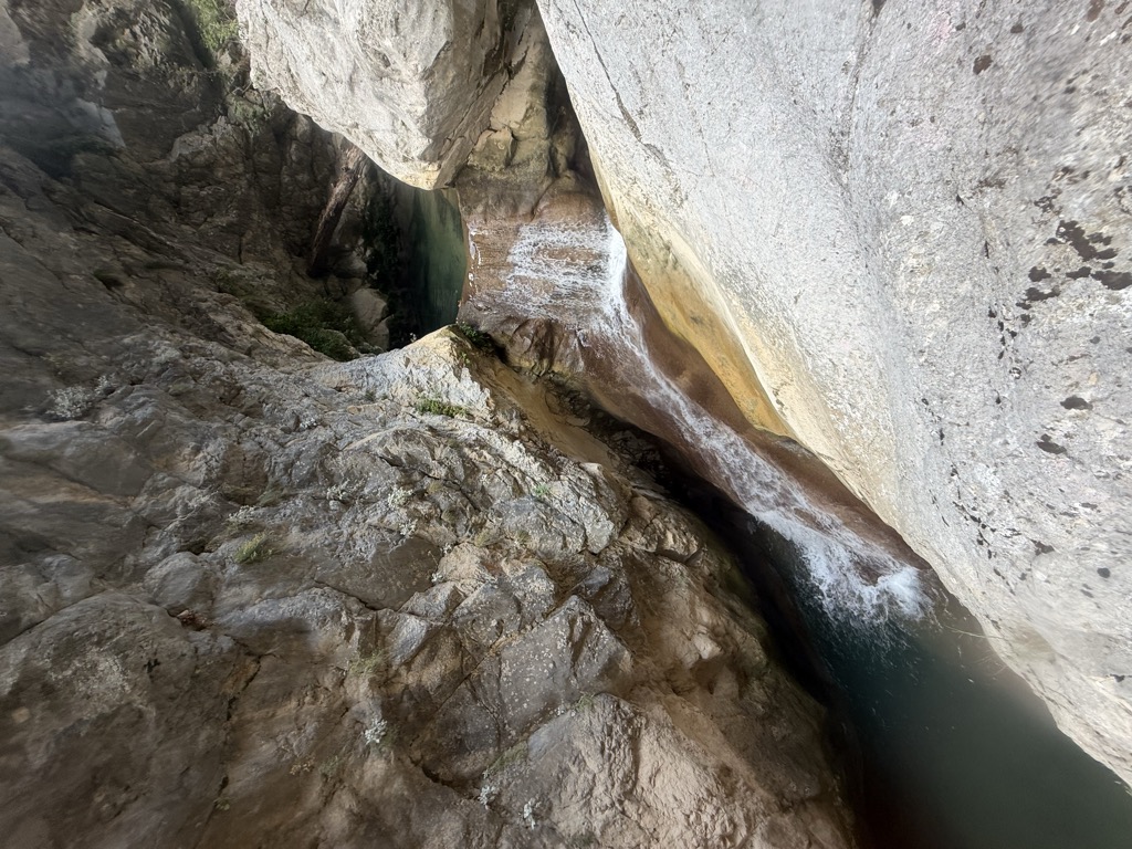müjgan gözüm