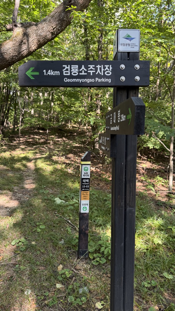 낭만화정인