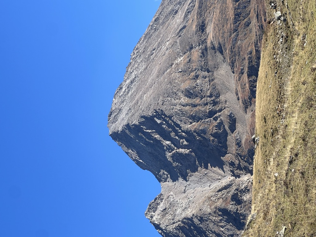 Stefano Dall'Asta