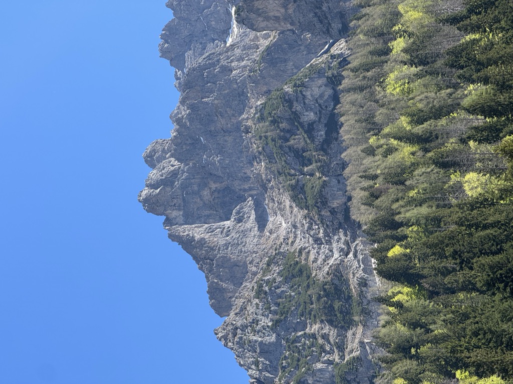 Michele Lago