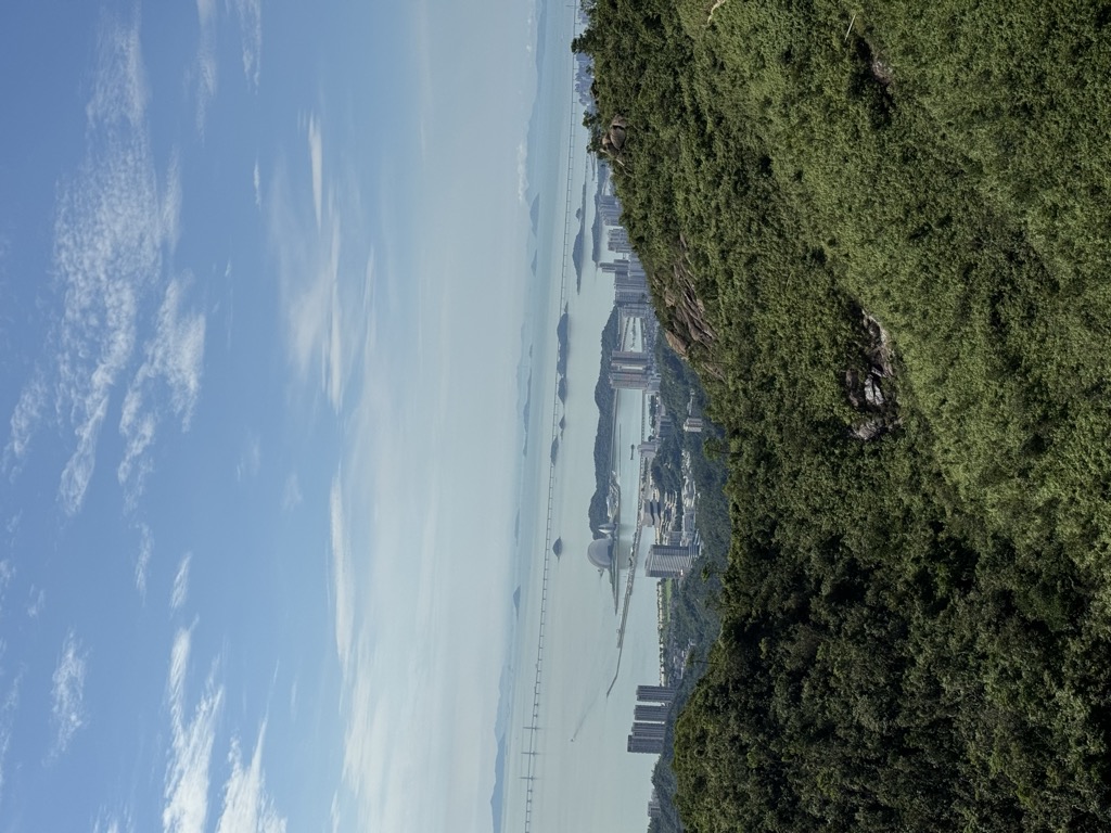 灿金妮