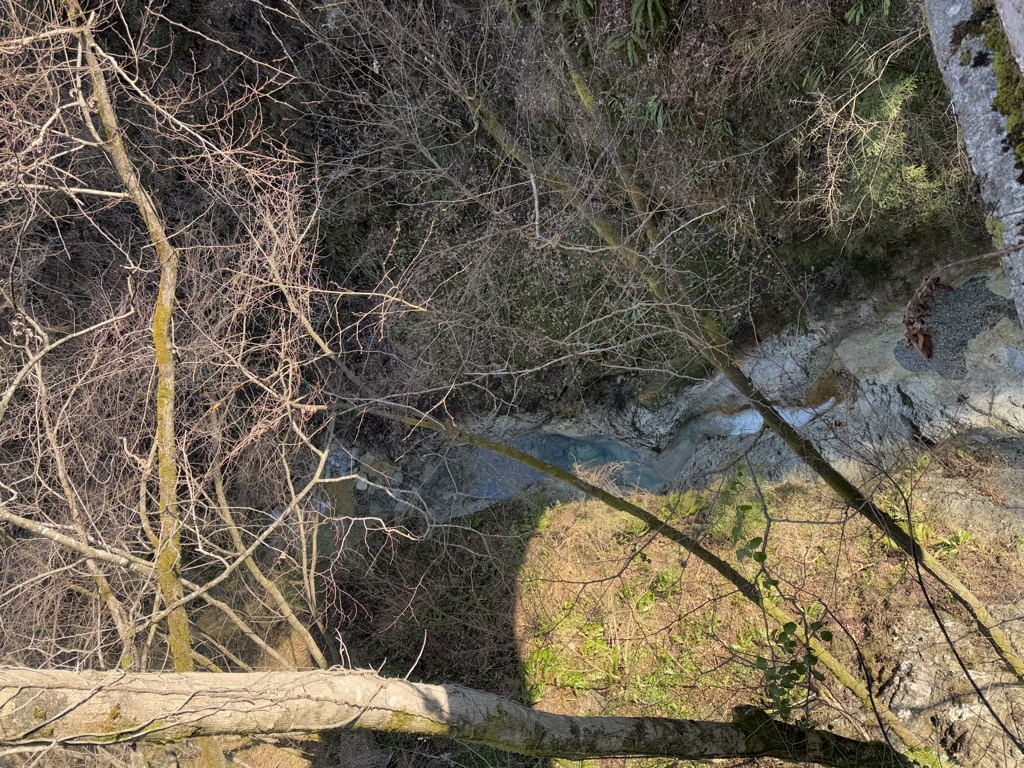 Mungiello Massimo