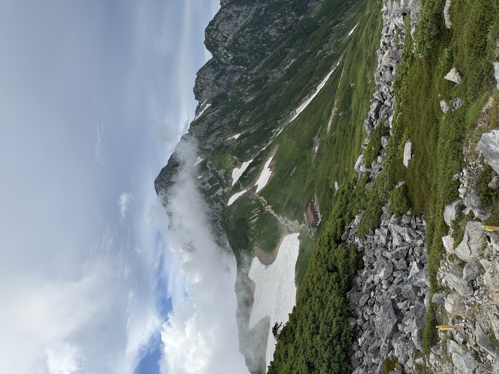 李宇星
